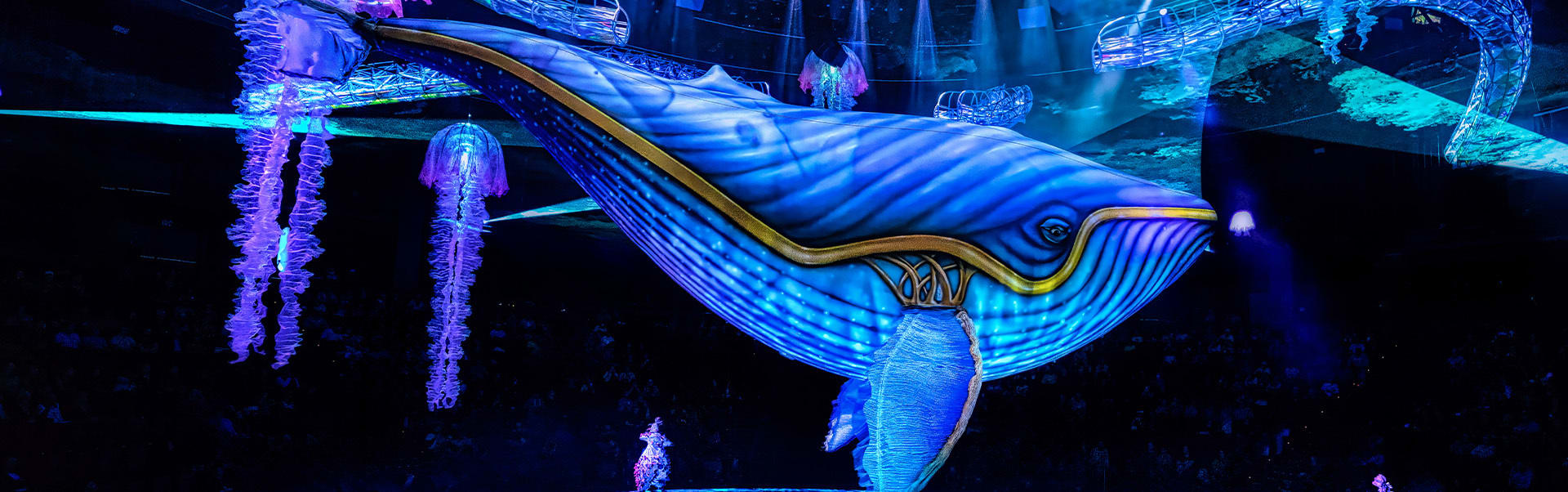 Awakening — espectáculo